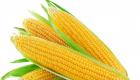 Как из початка кукурузы сделать попкорн